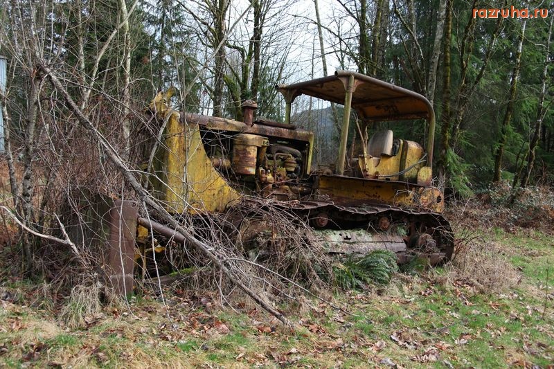 Торопец - лесхоз