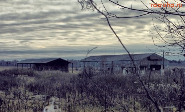 Западная Двина - Колхоз западнодвинский