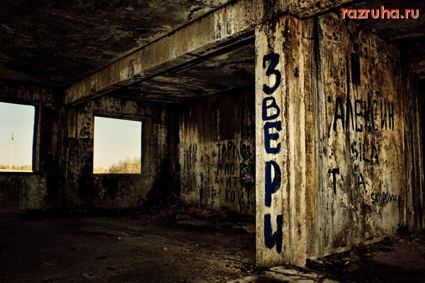 Алексин - Звери