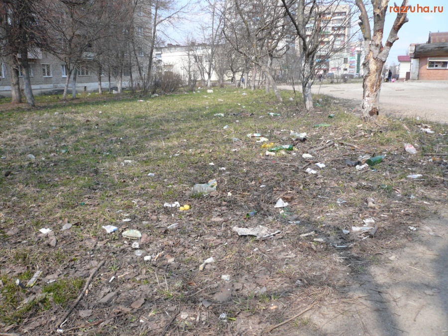 Алексин - Отдельно взятый город в отельно взятой из пятерки самых динамично развивающихся стране...