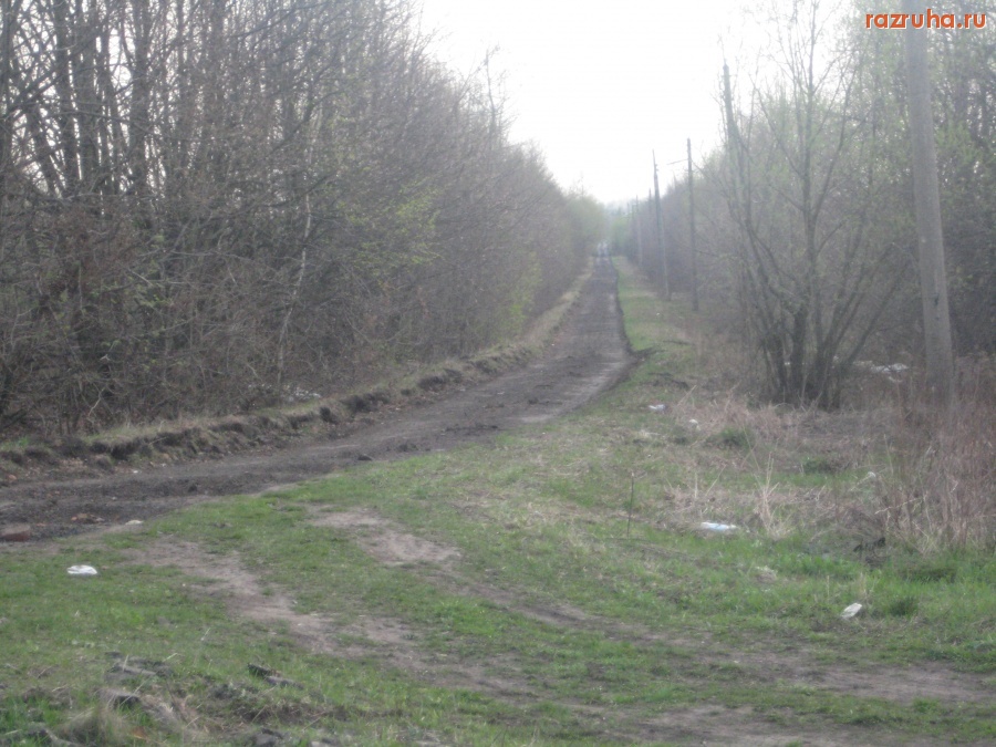 Северо-Задонск - Дорога