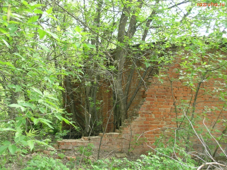 Огаревка - Остатки гаражей бывшей МЕХАНИЗАЦИИ