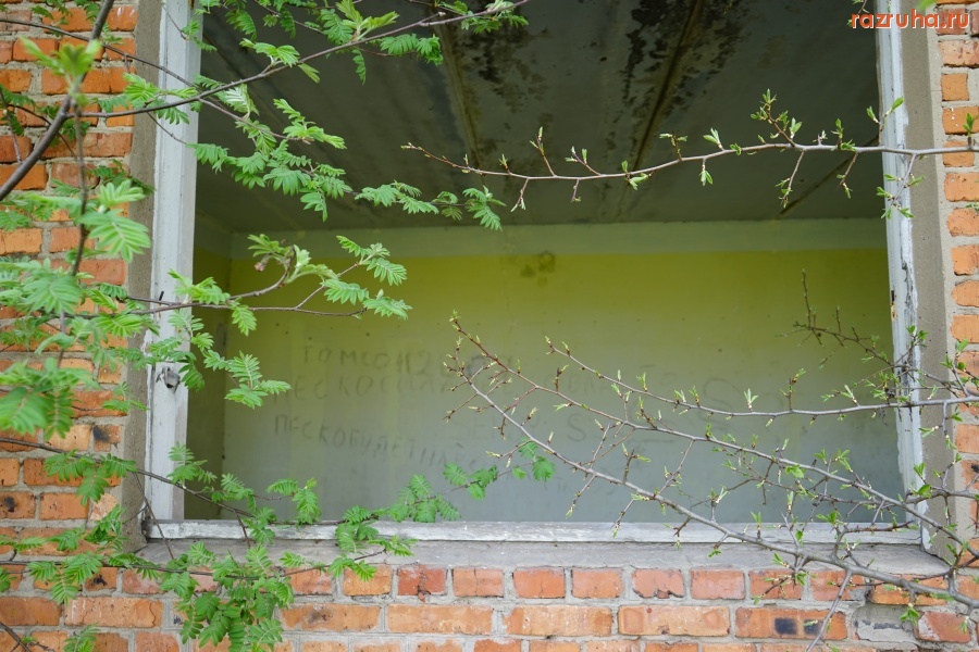 Чекалин - Школа