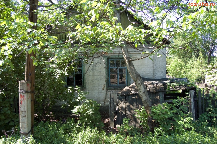 Новогродовка - Заросший дом