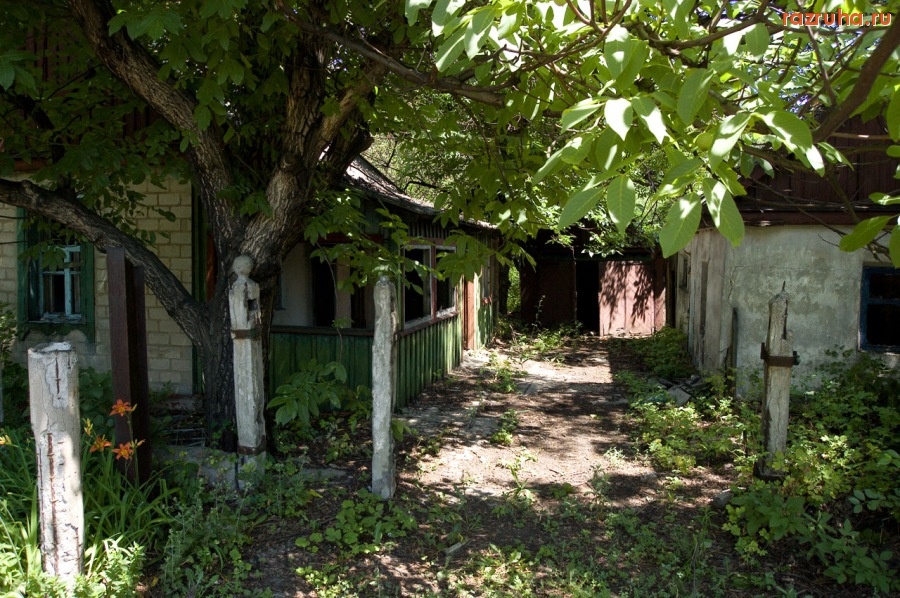 Новогродовка - Заброшенный дом