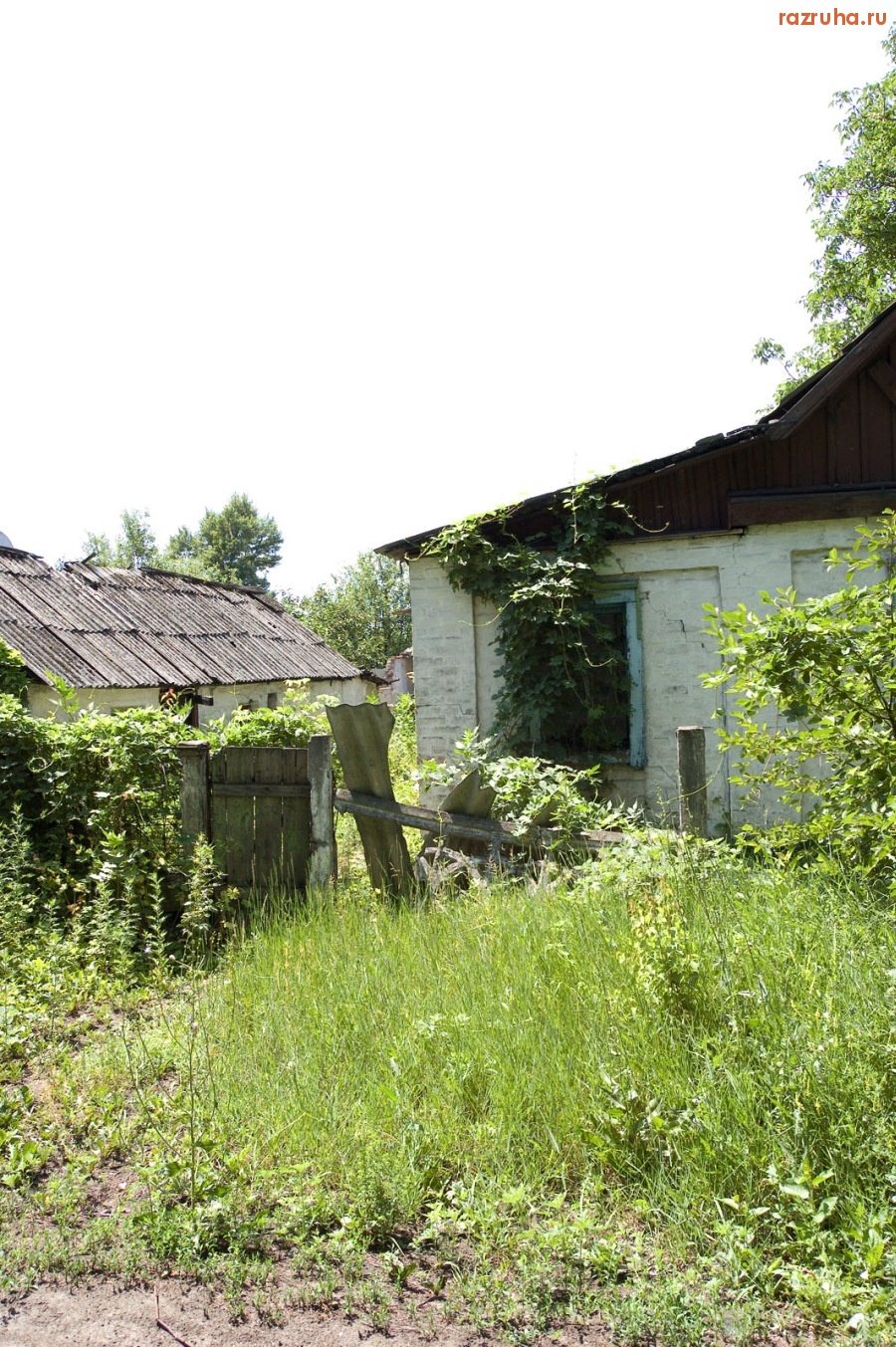 Новогродовка - Заросший дом
