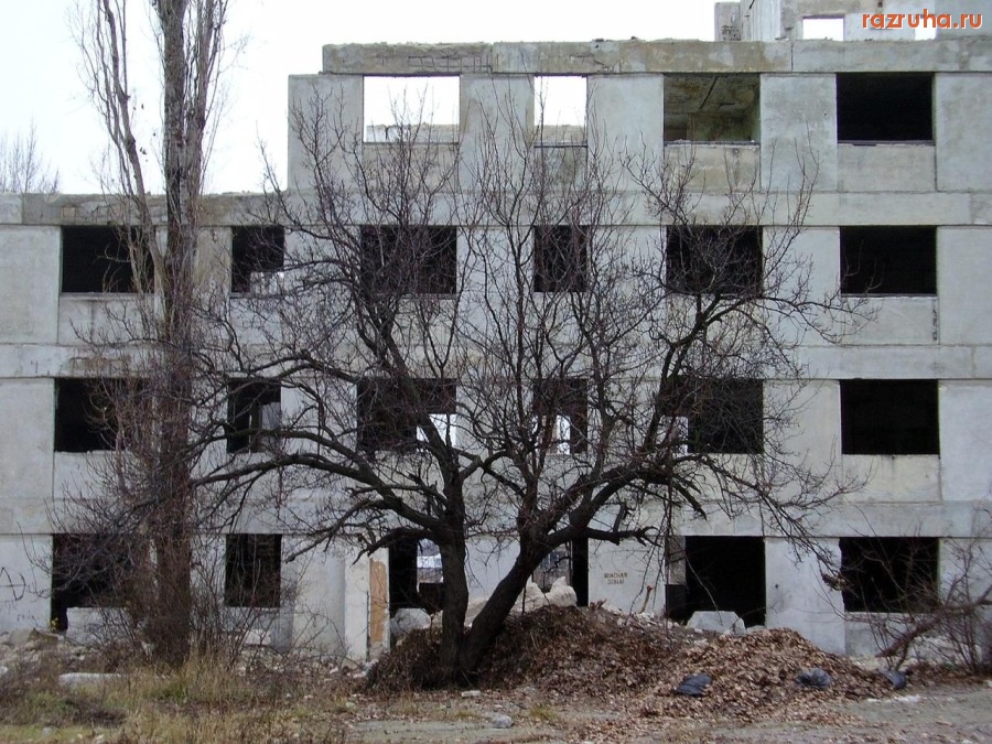 Лисичанск - Дерево