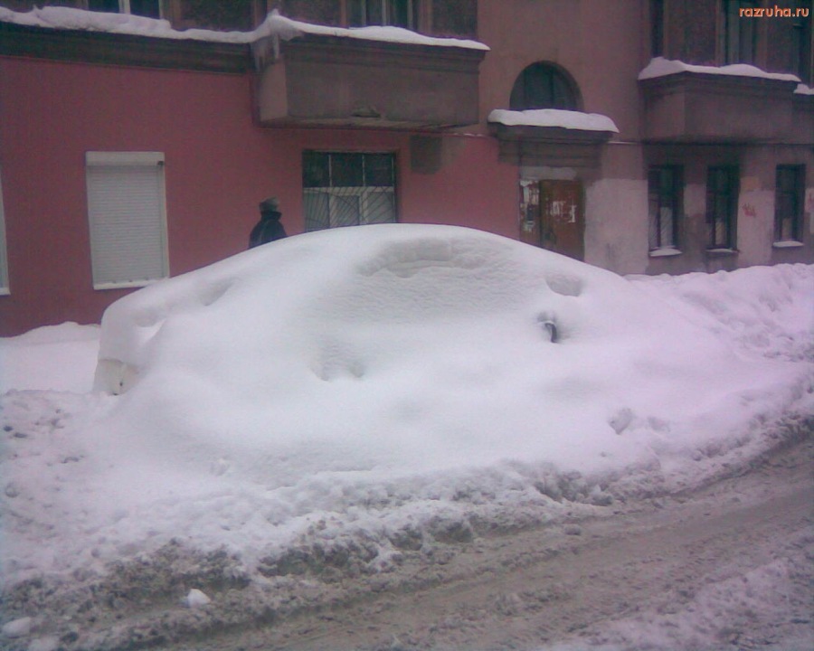 Санкт-Петербург - Подснежники