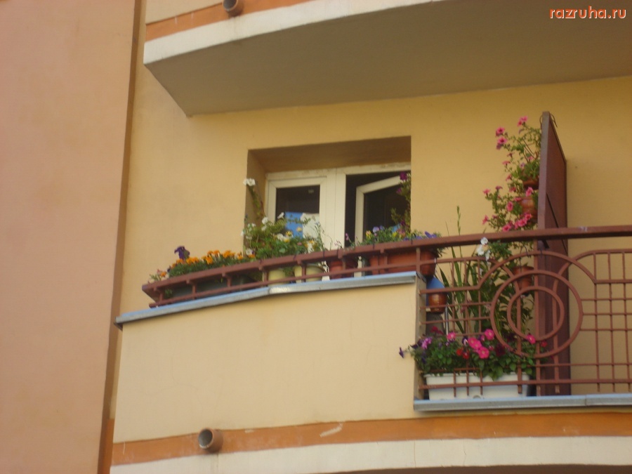 Санкт-Петербург - Ждановская, 7