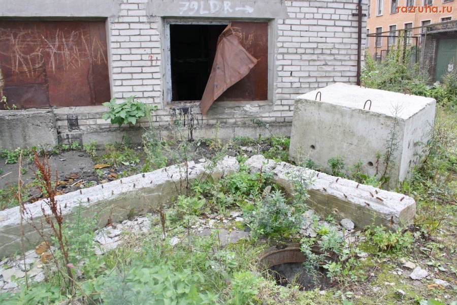 Санкт-Петербург - Петроградский район. Алексей Делюкин: 