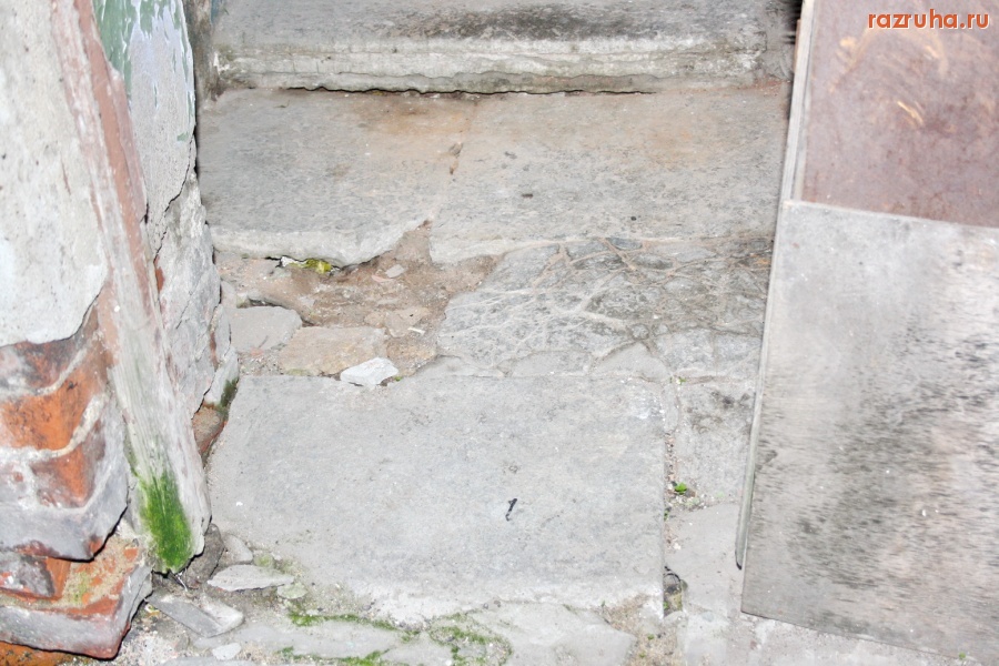 Санкт-Петербург - Алексей Делюкин: 