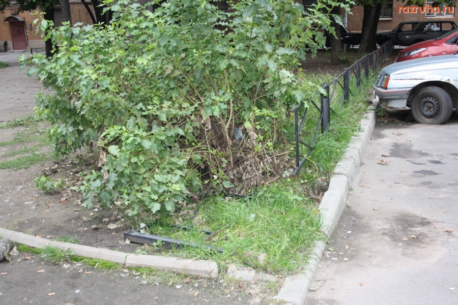 Санкт-Петербург - Глава Петроградской администрации Алексей Делюкин: в 2009 году реализована 4-хлетняя  программа благоустройства дворов...