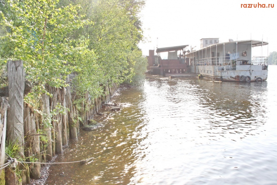 Санкт-Петербург - Петроградский район. Берег Малой Невки. ЭКОЛОГИЯ