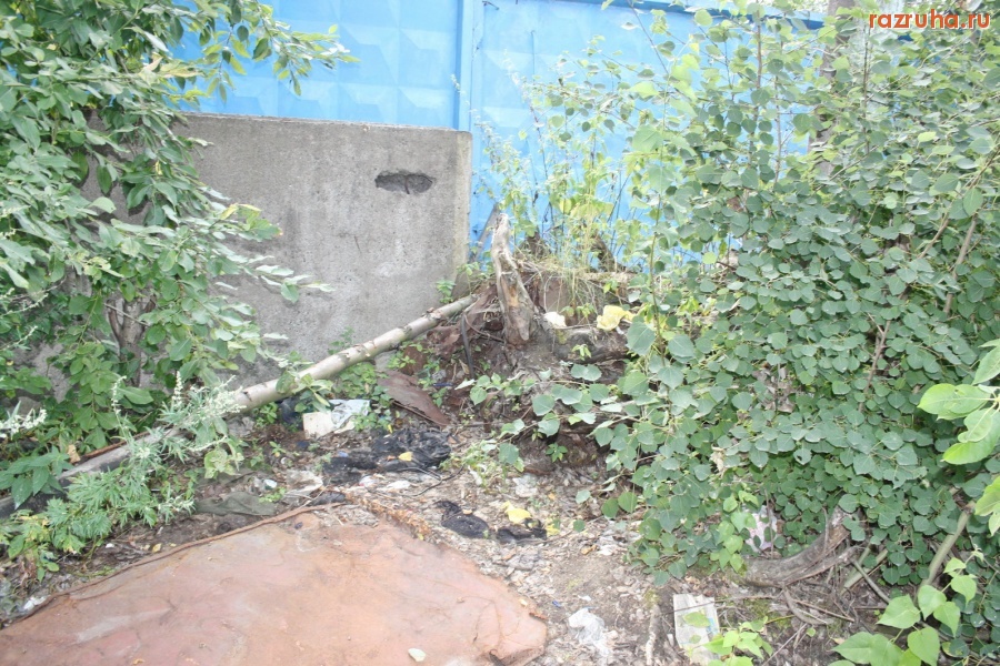 Санкт-Петербург - Петроградский район.  Малая Невка. Берега. ЭКОЛОГИЯ