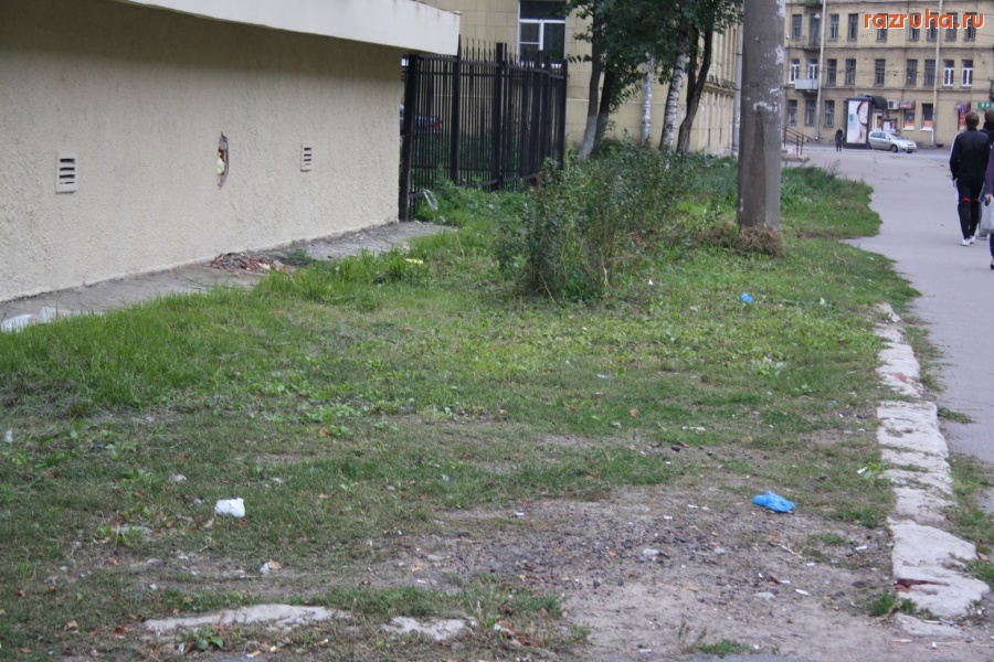 Санкт-Петербург - Глава Петроградской администрации Алексей Делюкин: в 2009 году реализована 4-хлетняя  программа благоустройства дворов...