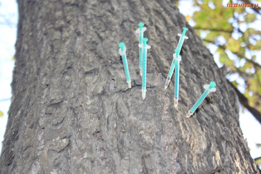 Санкт-Петербург - ПЕТРОГРАДСКИЙ РАЙОН. ЗДЕСЬ БЫЛИ ШЕСТЬ СМЕРТНИКОВ