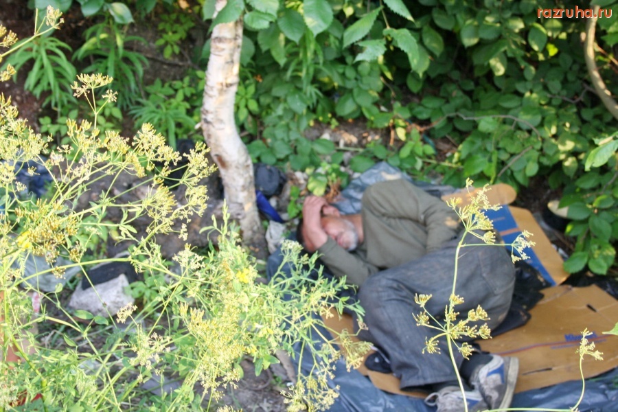 Санкт-Петербург - ПЕТРОГРАДСКИЕ КЛОШАРЫ НА БЕРЕГУ МАЛОЙ НЕВКИ