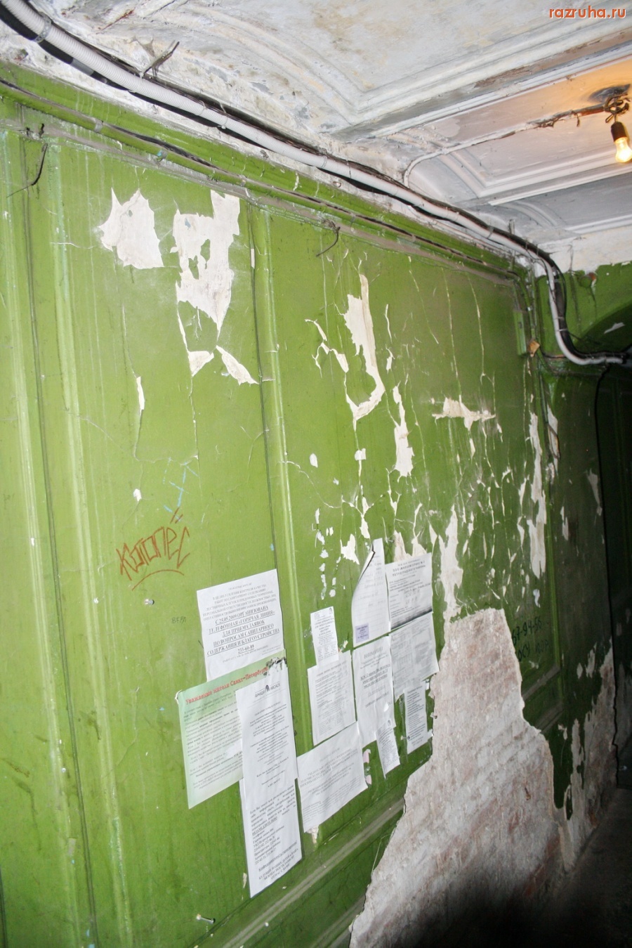 Санкт-Петербург - Алексей Делюкин: 