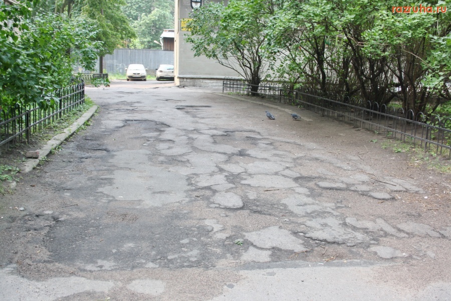 Санкт-Петербург - Петроградский район. Дороги, ведущие в Законодательное собрание. Алексей Делюкин: «…В 2009 году мы… завершили работы по асфальтированию и мощению плиткой более 500 тысяч кв.м. площади…»