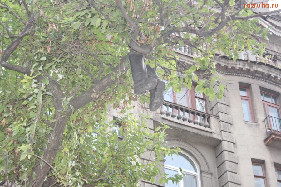 Санкт-Петербург - ЧУДО-ДЕРЕВО