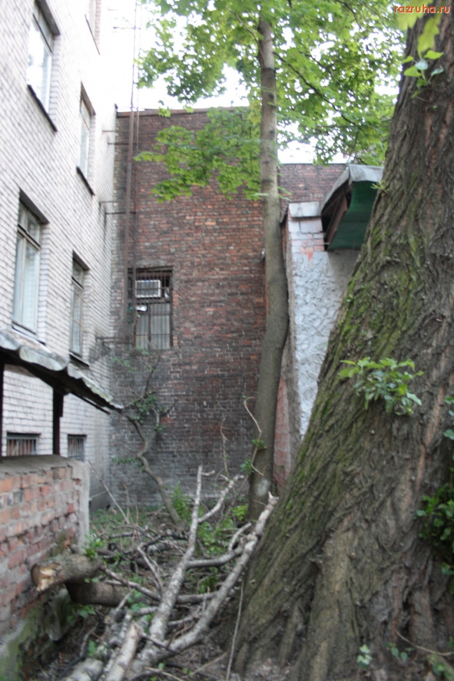 Санкт-Петербург - Санкт-Петебург, Петроградский район, ул. Большая Монетная, д 8. Завал на территории  детского сада.