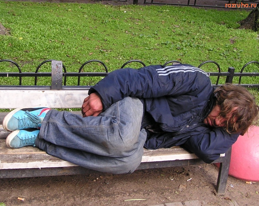 Санкт-Петербург - ПЕТРОГРАДСКИЙ КЛОШАР НА СКАМЕЙКЕ