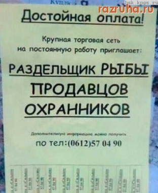 Санкт-Петербург - Объявление