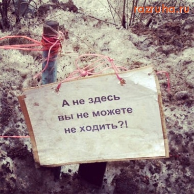 Санкт-Петербург - Объявление