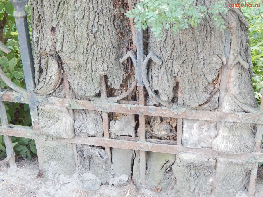 Санкт-Петербург - Piter