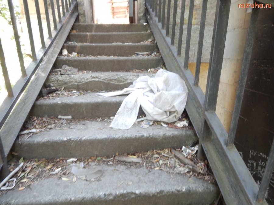 Санкт-Петербург - Piter