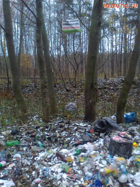 Санкт-Петербург - В лесу