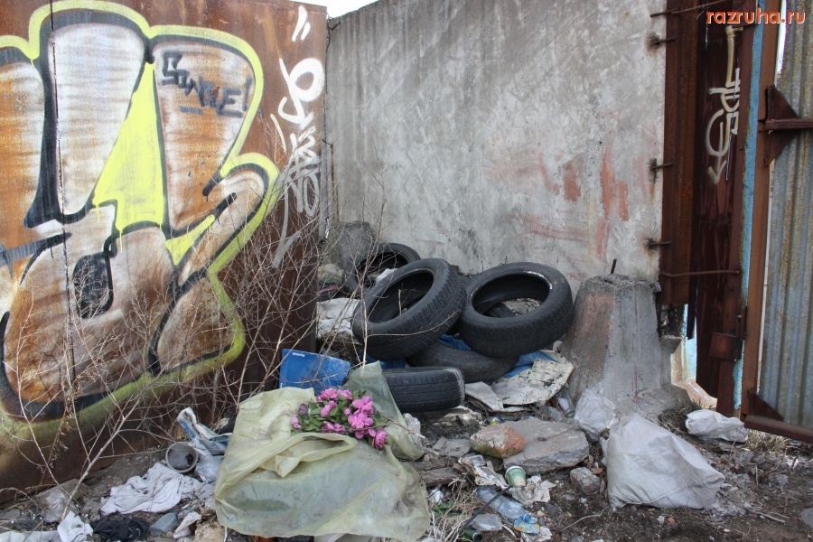 Санкт-Петербург - Петроградский района. Пионерская ул. МО МС Чкаловский