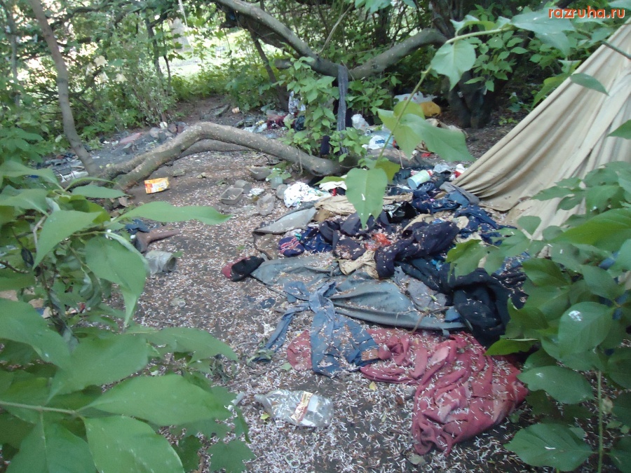 Санкт-Петербург - Петроградский район. Петровский парк. Петровский пруд.