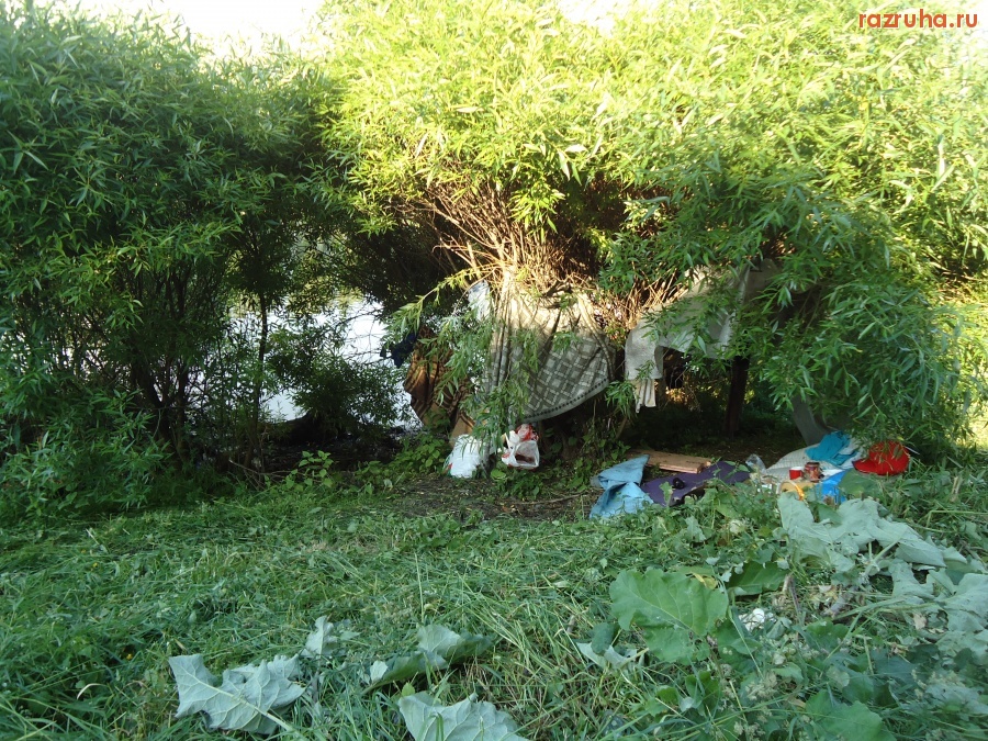 Санкт-Петербург - Петроградский район. Петровский парк. Петровский пруд.