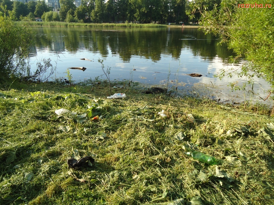 Санкт-Петербург - Петроградский район. Петровский парк. Петровский пруд.