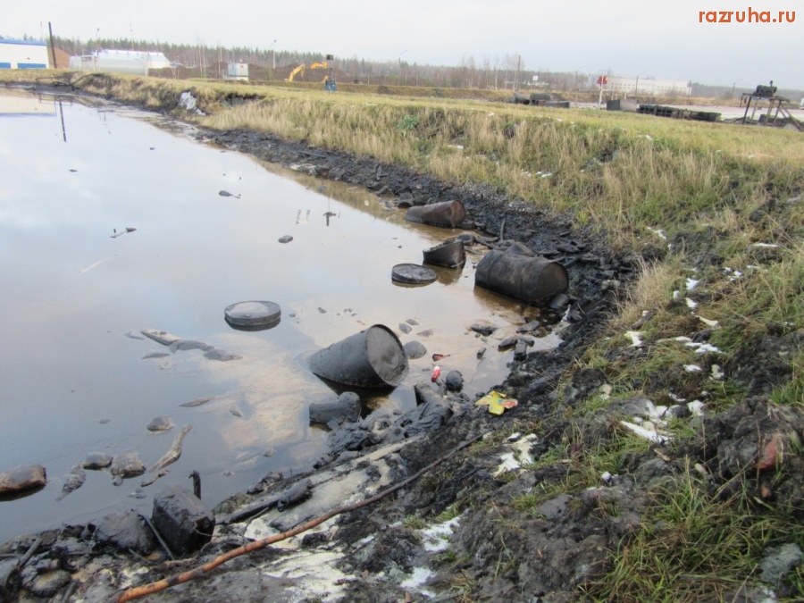 Санкт-Петербург - Экология. Санкт-Петербург.  Полигон 