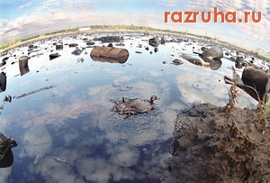 Санкт-Петербург - Экология . Полигон Красный бор. Питерский Чернобыль? Мина замедленного действия? Ведомственная разруха?