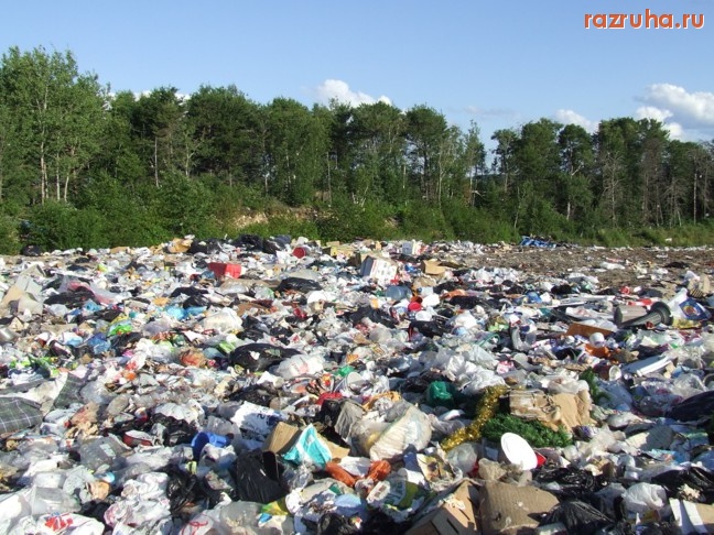 Санкт-Петербург - Экология, Полигон Красный бор: химический Чернобыль. Кормушка для вороватых чиновников ? Ведомственная разруха?