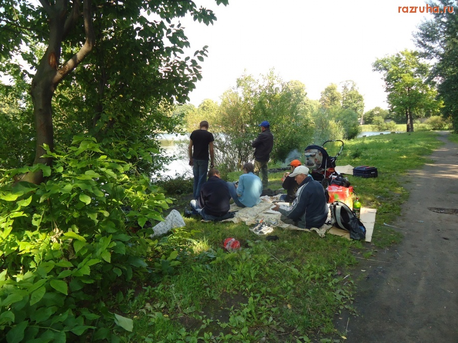 Санкт-Петербург - Этот контингент гадит на берегу пруда. И угрожает ножом в ответ на замечания.