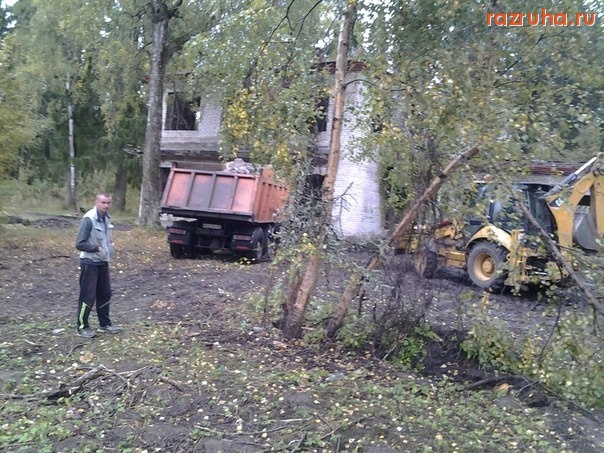Санкт-Петербург - Вандализм! Лесопарк в Сиверском снова вырубают