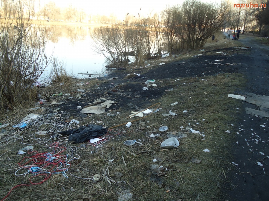 Санкт-Петербург - Петроградский район. Петровский парк. Петровский пруд.