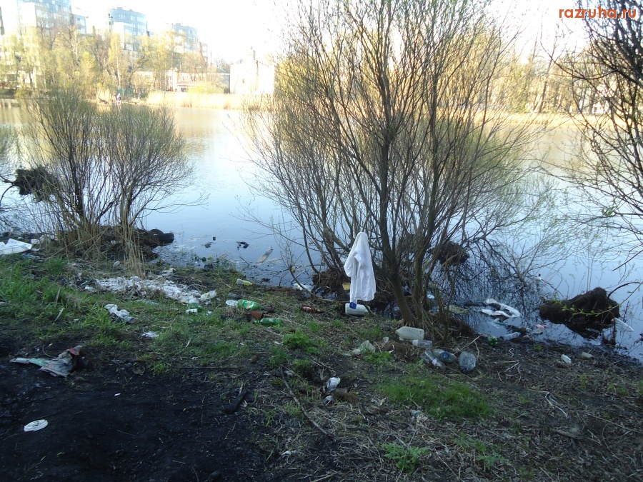 Санкт-Петербург - Прокурору Санкт-Петербурга, экологам и руководству ОНФ к сведению. Петроградский район, Петровский парк. Петровский пруд в преддверии выборов 2016