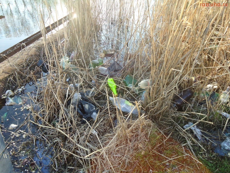 Санкт-Петербург - Петроградский район. Петровский парк. Петровский пруд.