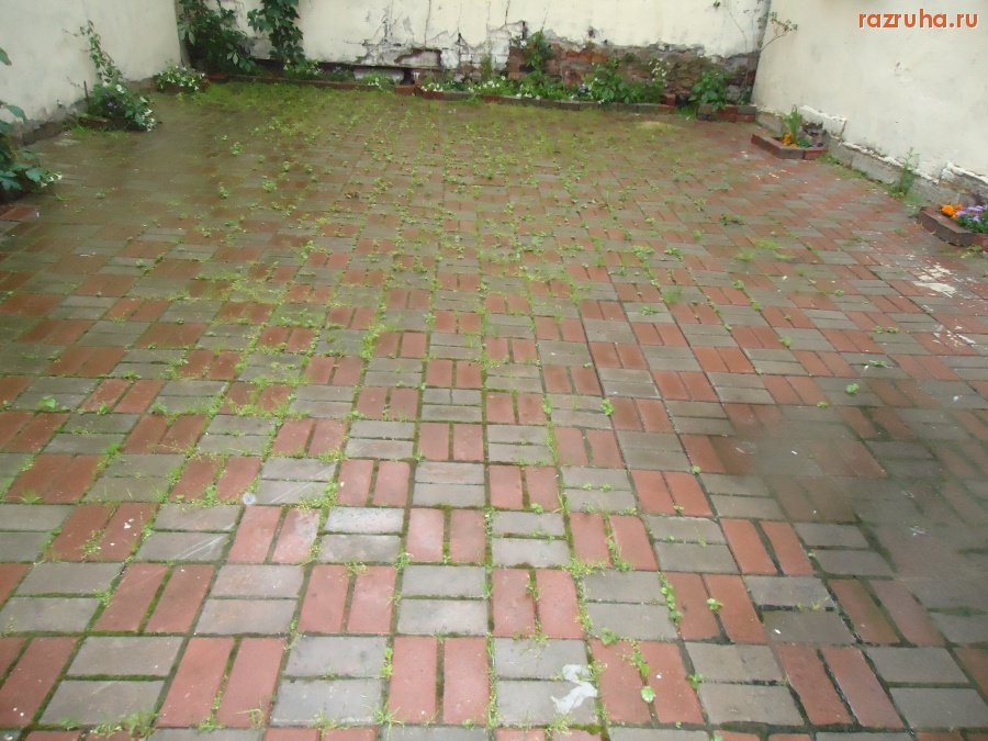 Санкт-Петербург - Петроградский район. Блохина 21. М.С. Введенский. Глва Олег Калядин.