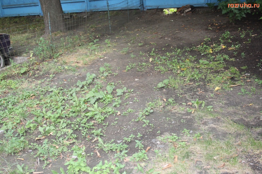 Санкт-Петербург - Петроградский район. НАБЕРЕЖНАЯ АДМИРАЛА ЛАЗАРЕВА, 18-20.