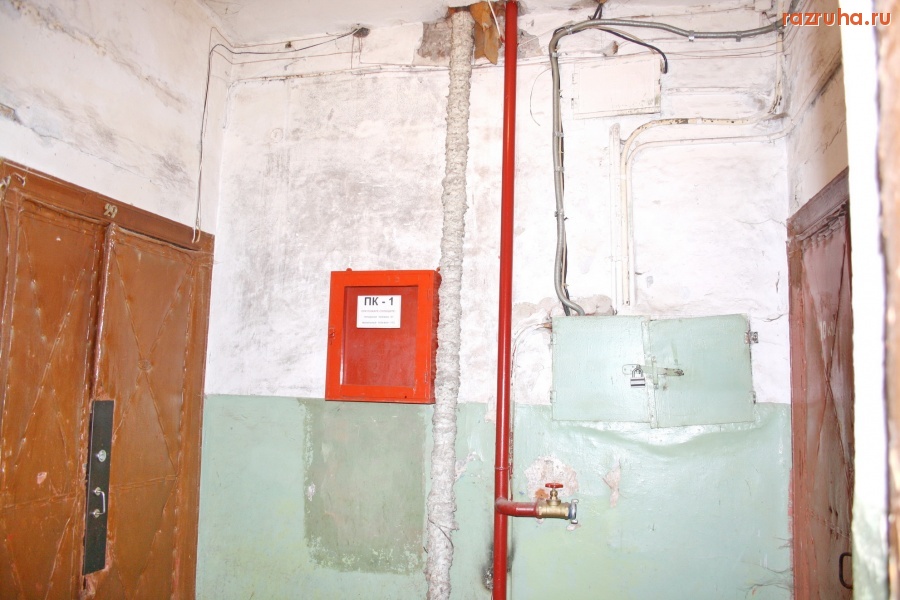 Санкт-Петербург - Алексей Делюкин: 