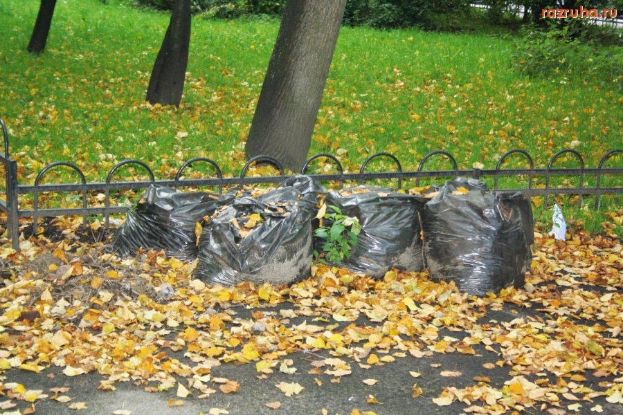 Санкт-Петербург - Петроградский район. Прошлогодние  мешки с мусором