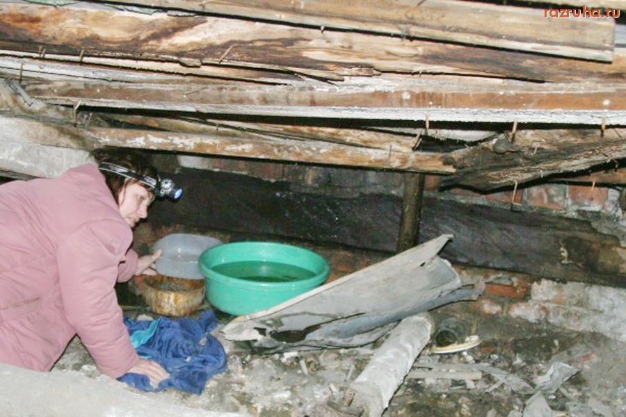 Санкт-Петербург - Так жители Петроградского района проводят свой досуг в непогоду.