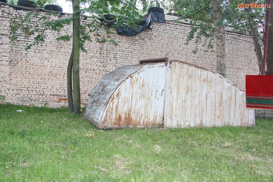 Санкт-Петербург - Петроградский район. Ракушка на газоне.