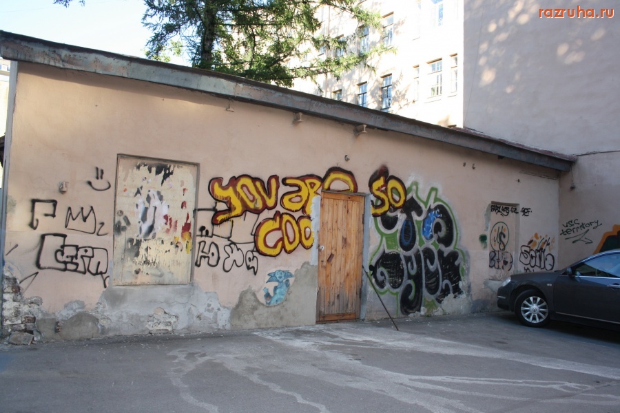 Санкт-Петербург - Петроградский район. Ул. Мичуринская 13-15. Двор.  Граффити